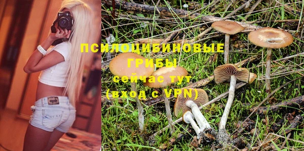 дурь Алзамай