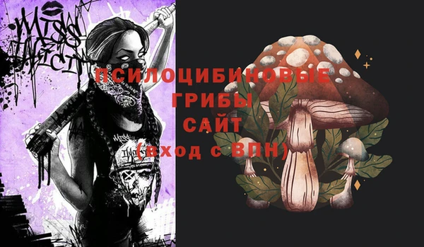 герыч Алексин