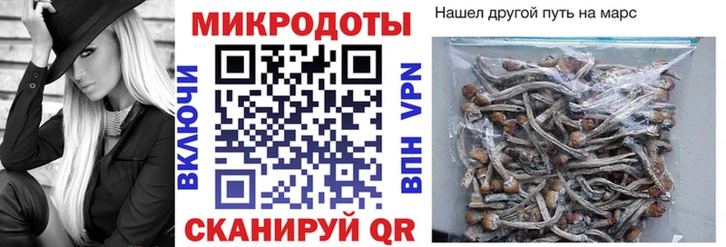 Псилоцибиновые грибы Magic Shrooms  дарнет шоп  Моздок 