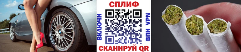 где можно купить наркотик Моздок Каннабис план
